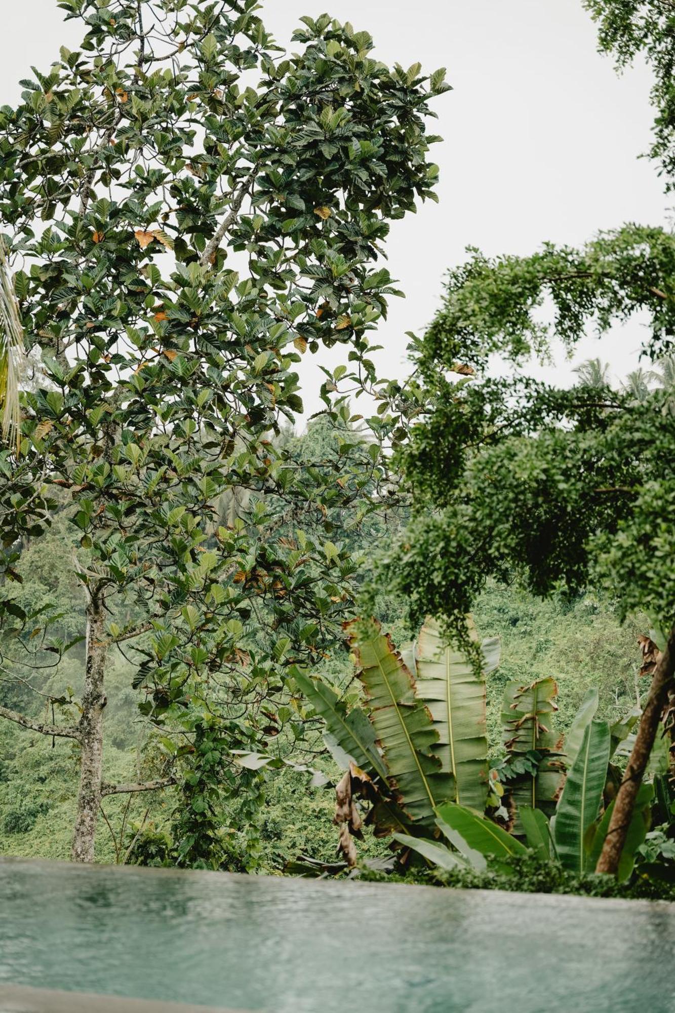 Lerosa Valley Resort Ubud Exterior foto